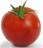 تصویر گوجه فرنگى به نرخ موز/ گرانى این بار به گوجه رسید 